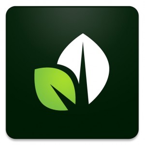 Sprout Social Media Management