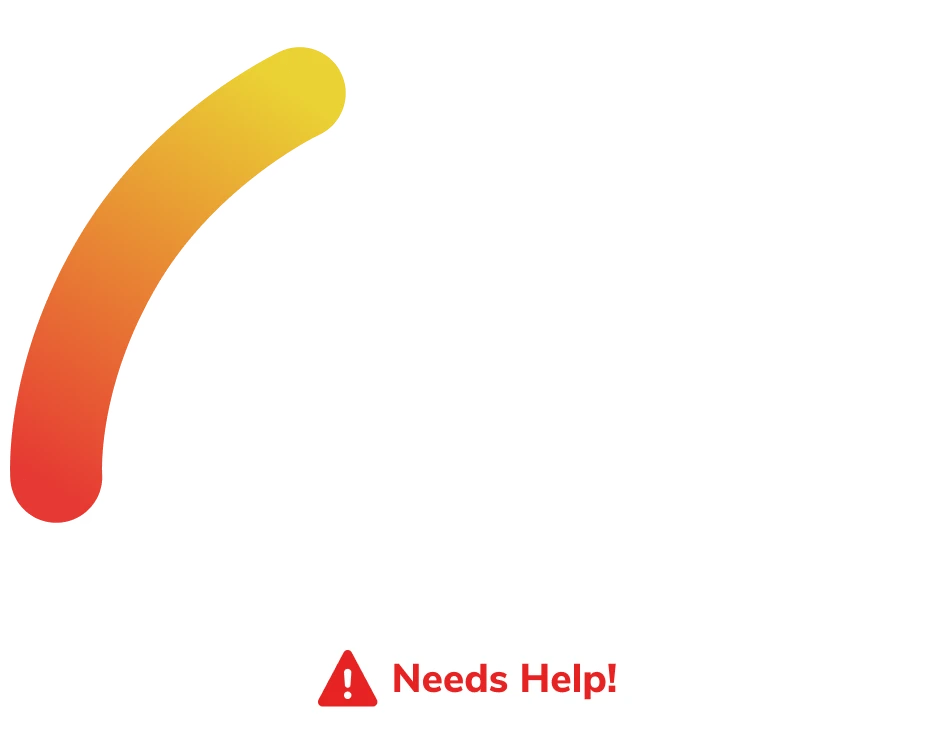 Get an Instant Website AI Visibility Score
